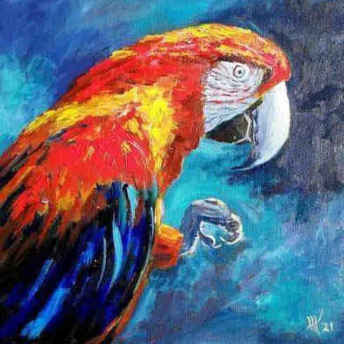 Amazon Macaw